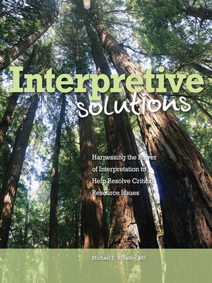 cover image of Interpretive Solutions